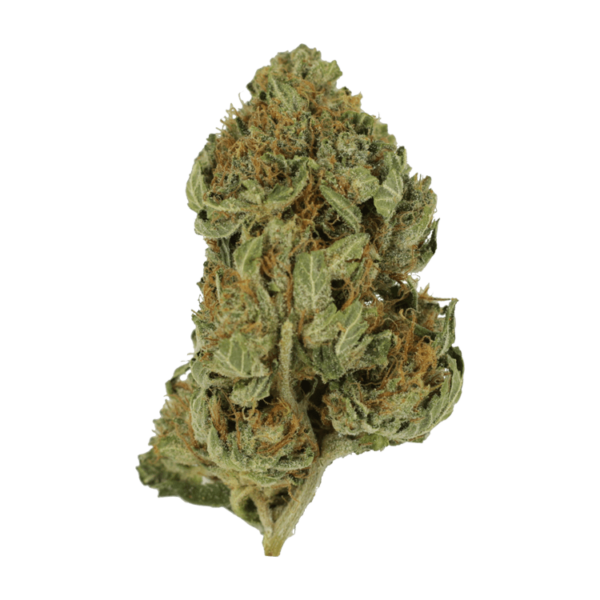 Bubblegum – 1 ounce | West Coast Cannabis Canada