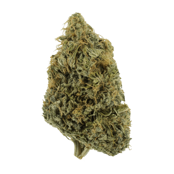 NYC Diesel | West Coast Cannabis Canada