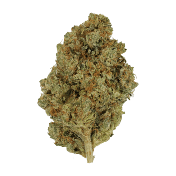 Nepalese | West Coast Cannabis Canada