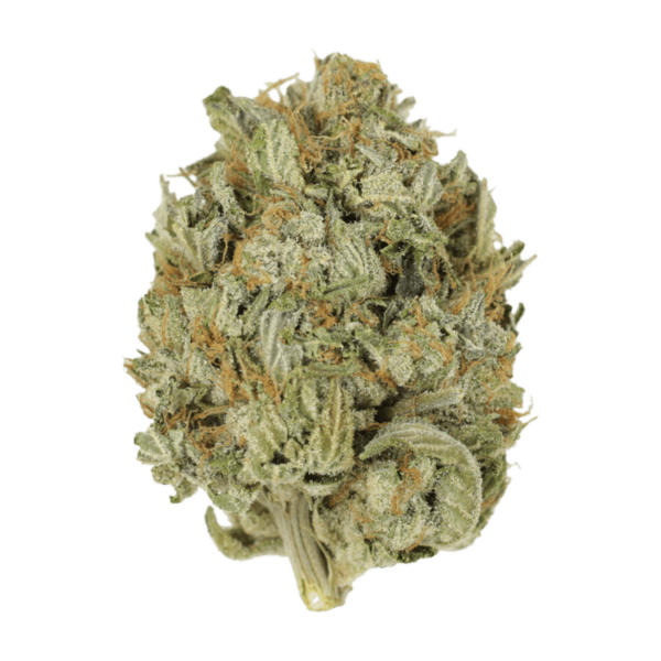 Blue Dream (Popcorn) | West Coast Cannabis Canada