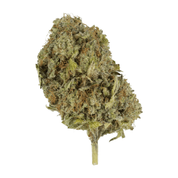 God’s Green Crack | West Coast Cannabis Canada
