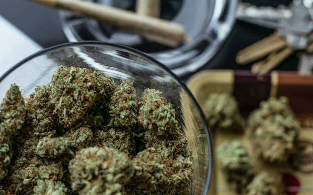Premium cannabis vs Affordable Weed | West Coast Cannabis Canada