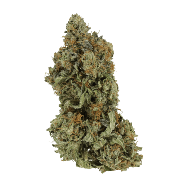 Bruce Banner #3 | West Coast Cannabis Canada