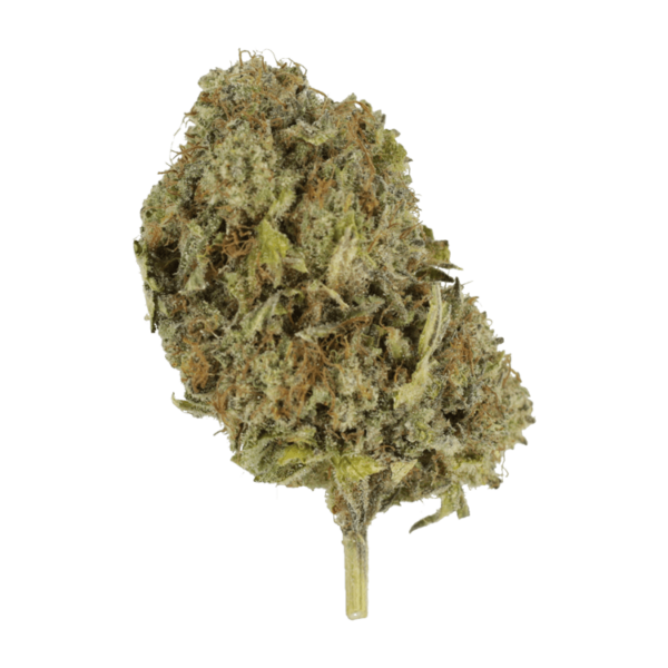 Chemo | West Coast Cannabis Canada