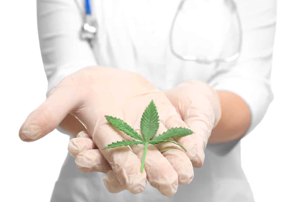 Cannabis as a natural cure for pain | West Coast Cannabis Canada