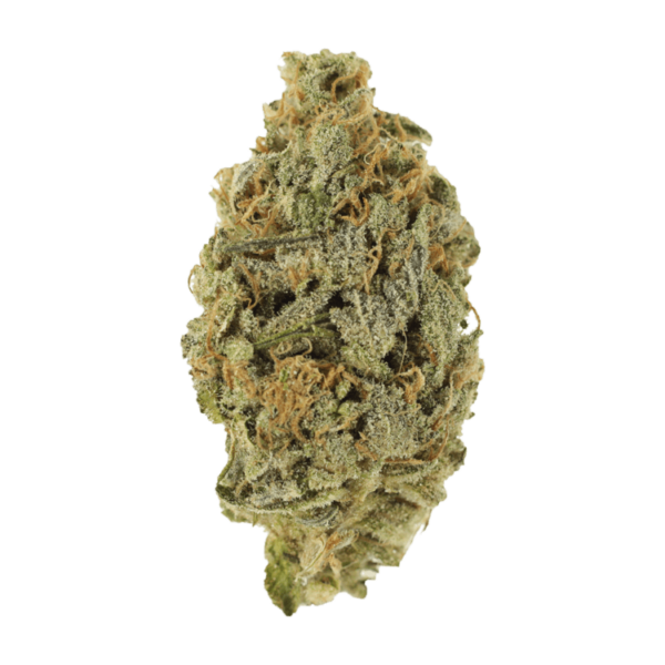 Lavender | West Coast Cannabis Canada