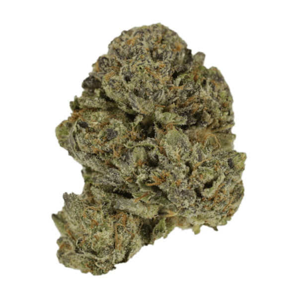 Lavender | West Coast Cannabis Canada