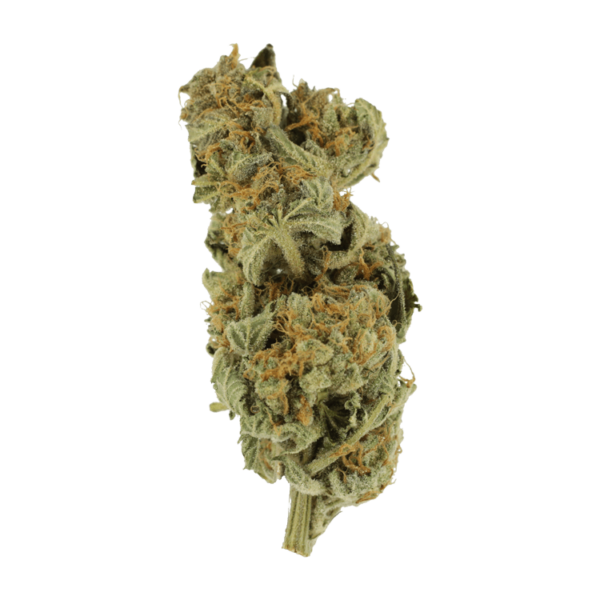Gorilla Glue | West Coast Cannabis Canada
