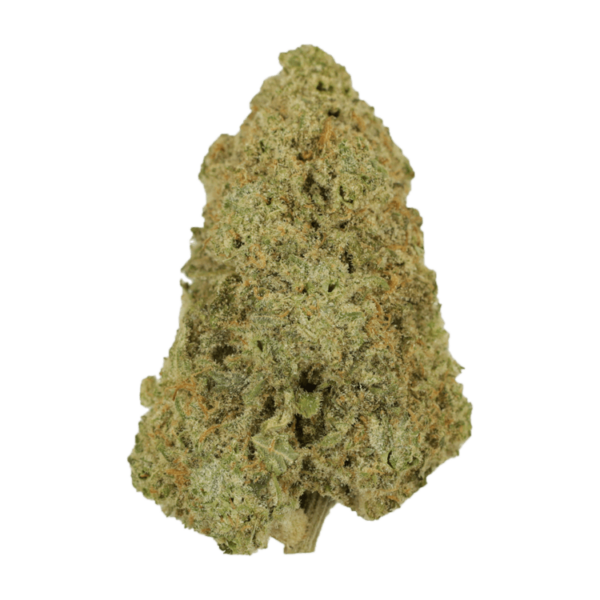 Super Silver Haze | West Coast Cannabis Canada