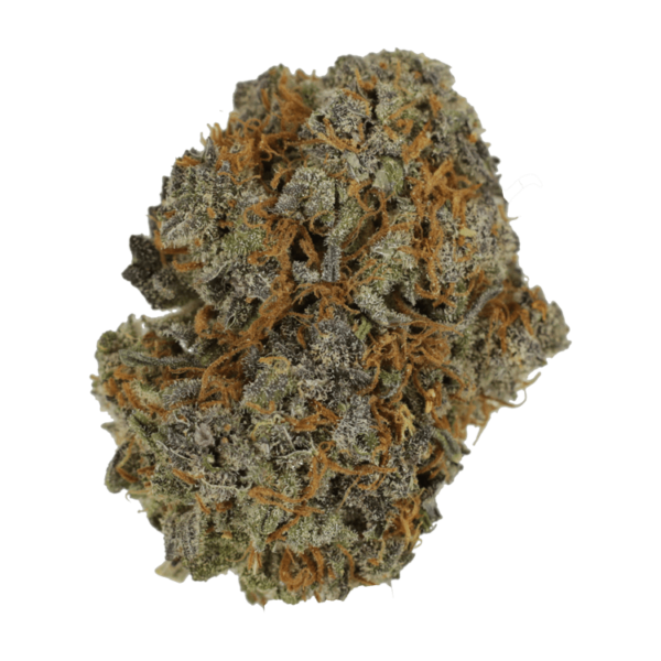 Jack Herer 1 Ounce | West Coast Cannabis Canada