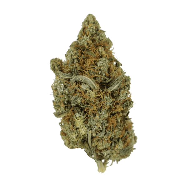 Jack Herer 1 Ounce | West Coast Cannabis Canada