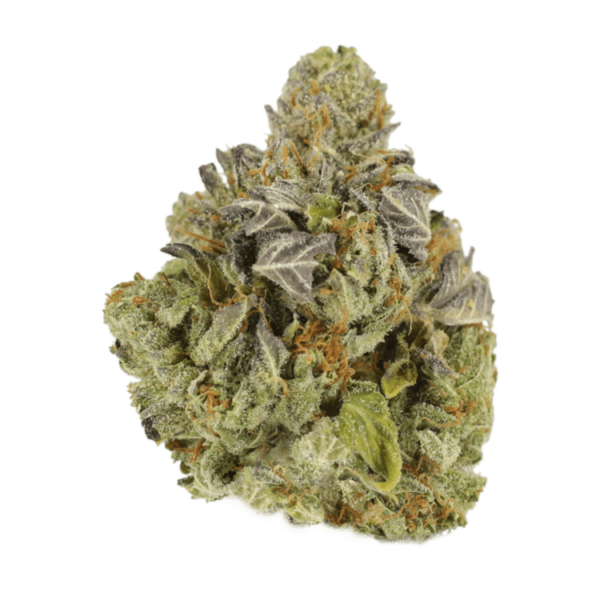 Jet Fuel | West Coast Cannabis Canada
