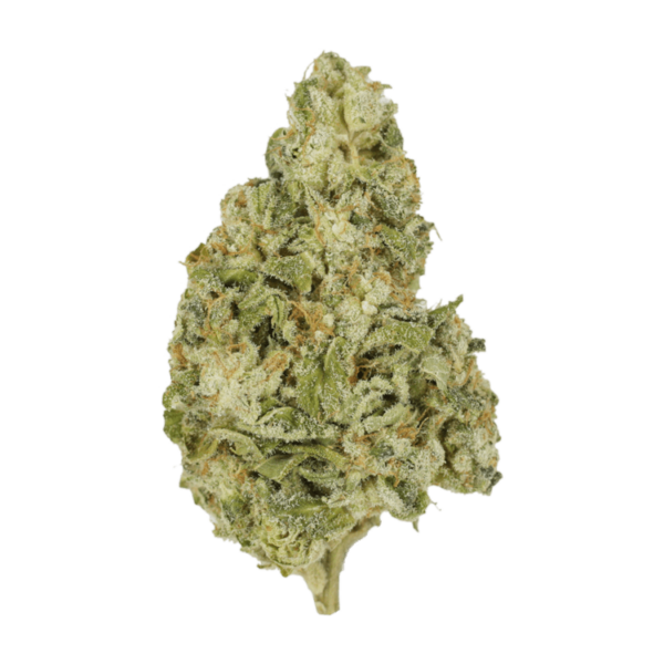 Zombie OG | West Coast Cannabis Canada