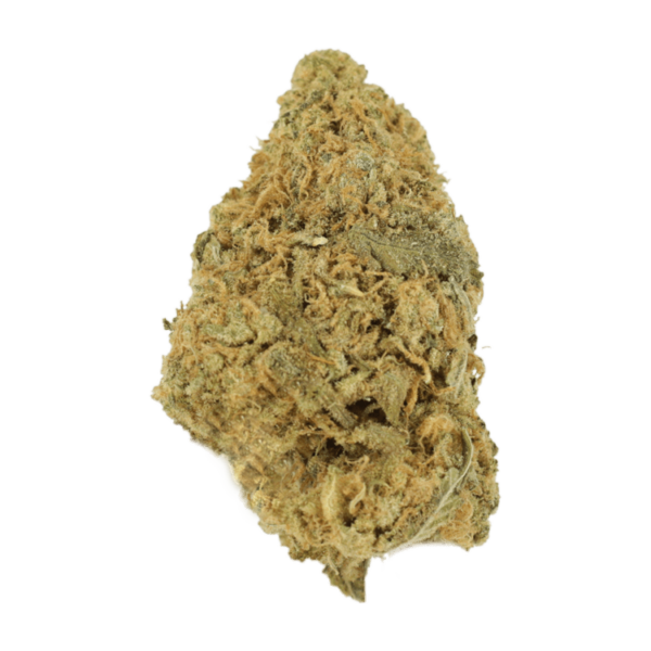 Zombie OG | West Coast Cannabis Canada