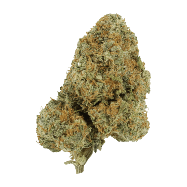 Blue Rhino | West Coast Cannabis Canada