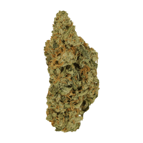 Mimosa | West Coast Cannabis Canada