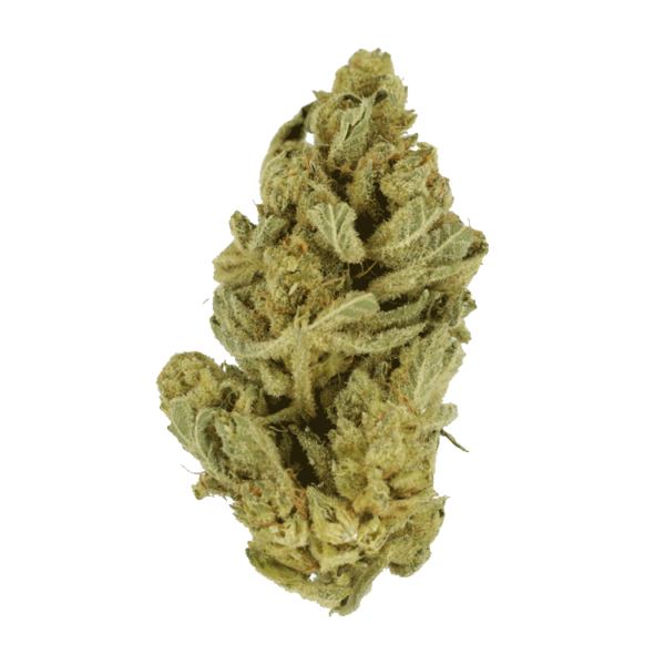 Hindu Kush – 7g | West Coast Cannabis Canada
