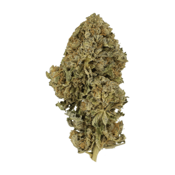 Durban Poison | West Coast Cannabis Canada