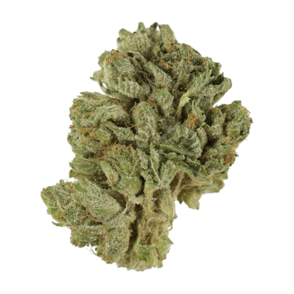 Northern Lights 2 for $69 | West Coast Cannabis Canada