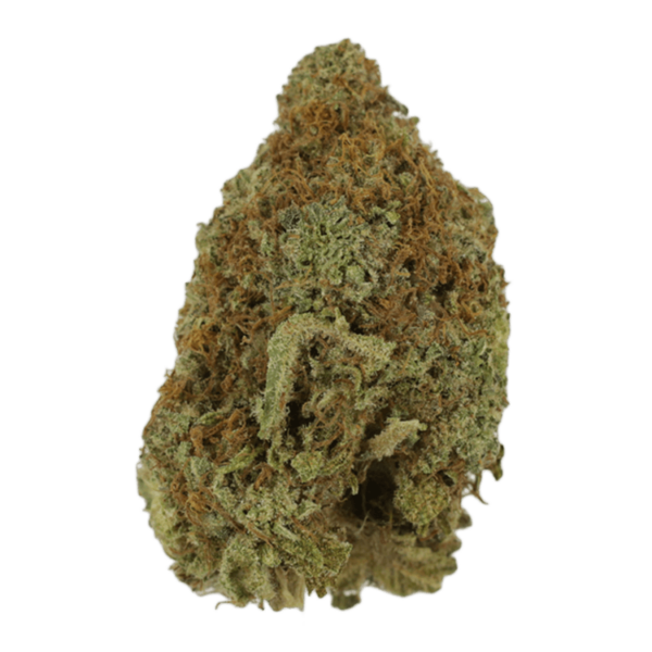 Mango Haze | West Coast Cannabis Canada