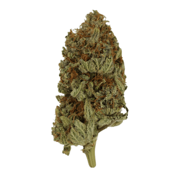 Congo | West Coast Cannabis Canada