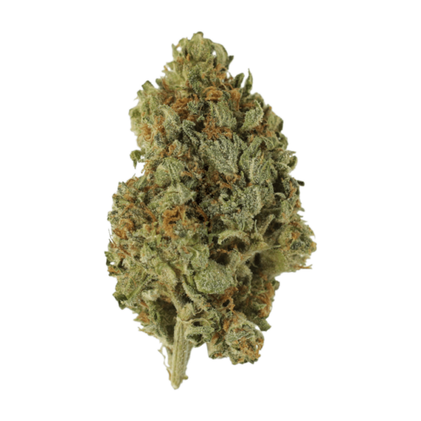 Sugar Cookies | West Coast Cannabis Canada