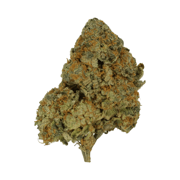 9lb Hammer | West Coast Cannabis Canada 9lb Hammer | West Coast Cannabis Canada