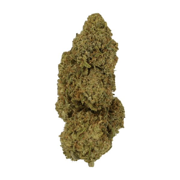 9lb Hammer | West Coast Cannabis Canada