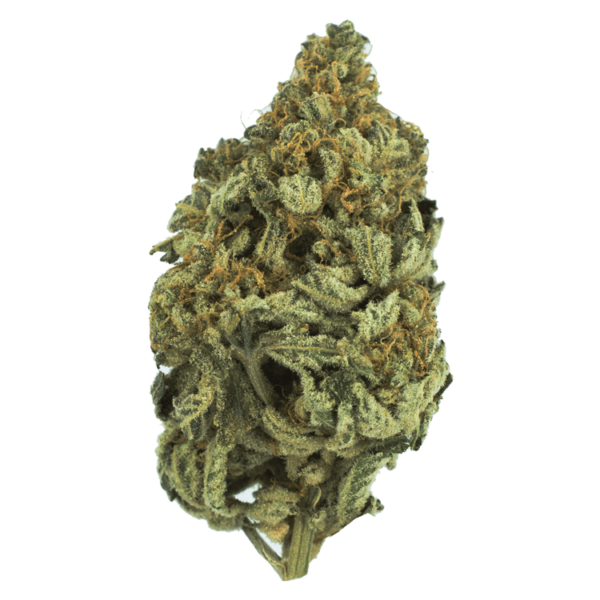 Bakerstreet | West Coast Cannabis Canada
