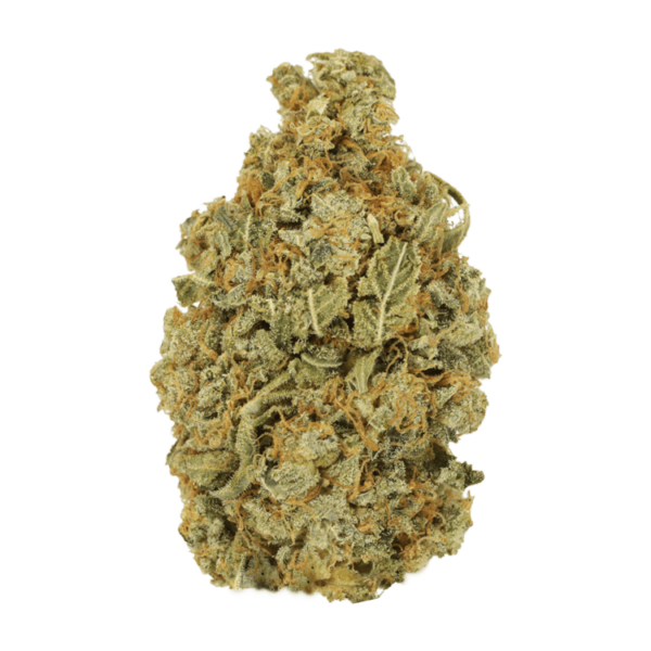 Maui Wowie | West Coast Cannabis Canada