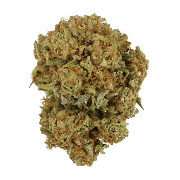Maui Wowie | West Coast Cannabis Canada