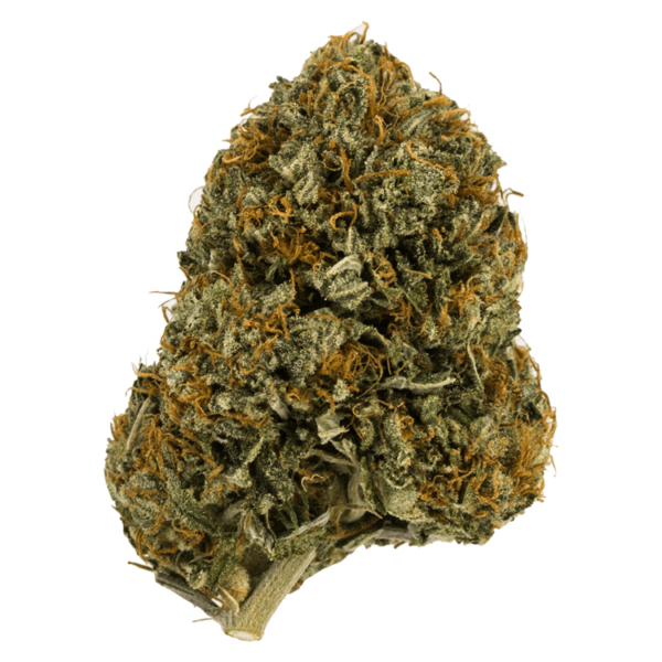 Wifi OG – 1 ounce | West Coast Cannabis Canada