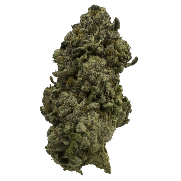 Fire Alien Urkle | West Coast Cannabis Canada