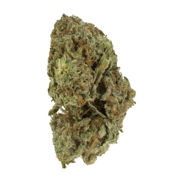 Gelato Sorbet – 1 ounce | West Coast Cannabis Canada