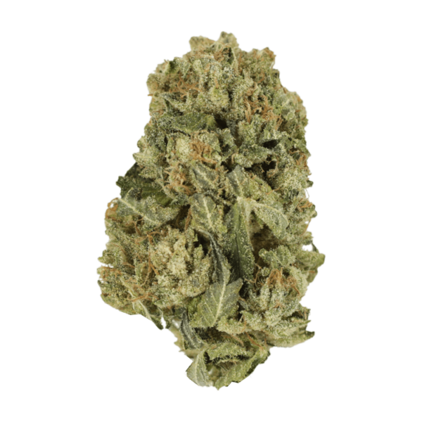 Black Domina | West Coast Cannabis Canada