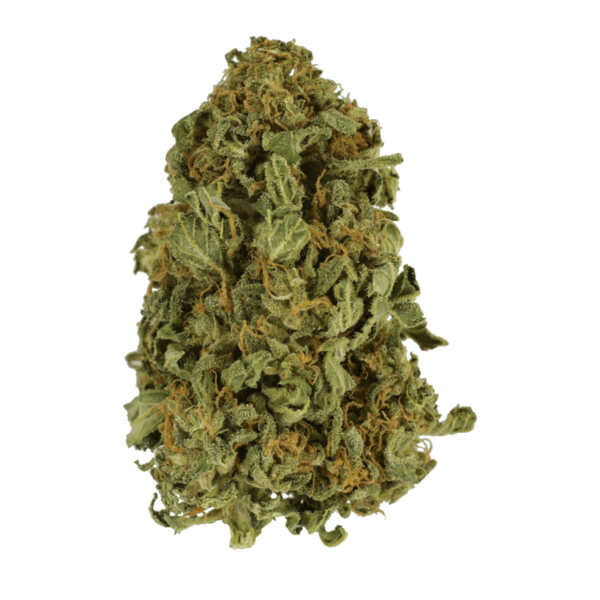 Apricot Kush – $35/oz | West Coast Cannabis Canada