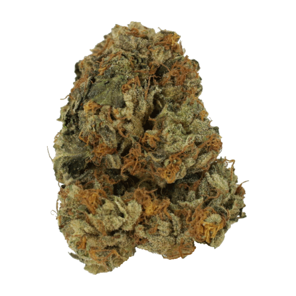 Dolato – 1OZ | West Coast Cannabis Canada