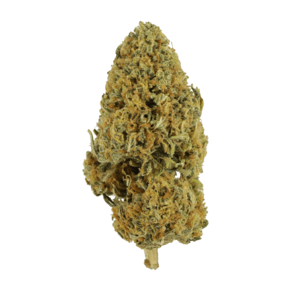 Grapefruit – 1 ounce | West Coast Cannabis Canada