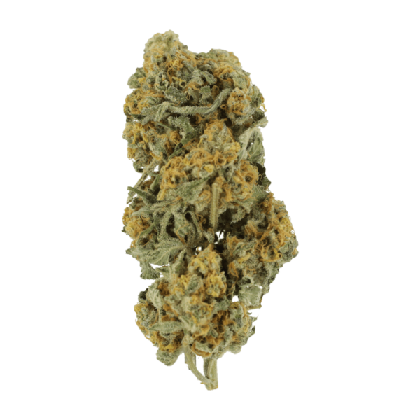 Miracle Alien Cookies | West Coast Cannabis Canada