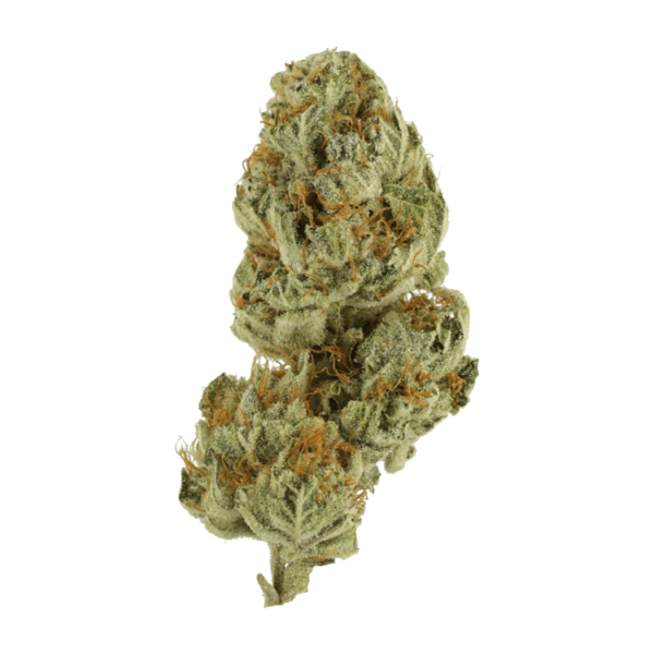 Strawberry Glue | West Coast Cannabis Canada