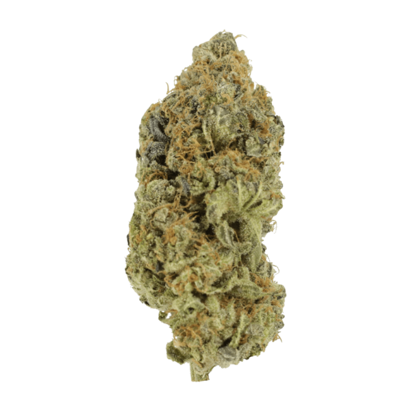 Critical Widow | West Coast Cannabis Canada