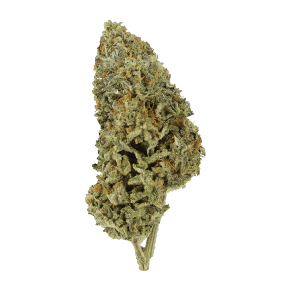 Super Silver Sour Diesel | West Coast Cannabis Canada