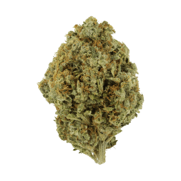 Orange Barb | West Coast Cannabis Canada