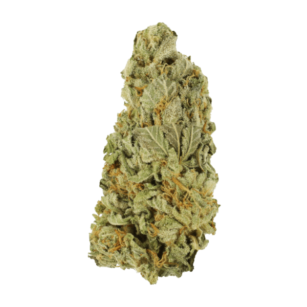 Green Congo | West Coast Cannabis Canada