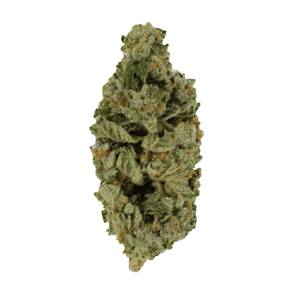 Crazy Glue | West Coast Cannabis Canada
