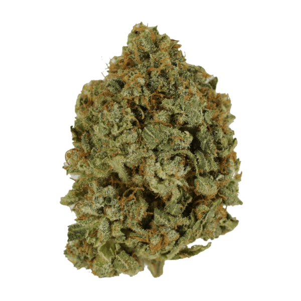 Crazy Glue | West Coast Cannabis Canada