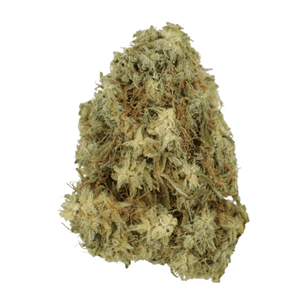Hawaiian Snow | West Coast Cannabis Canada
