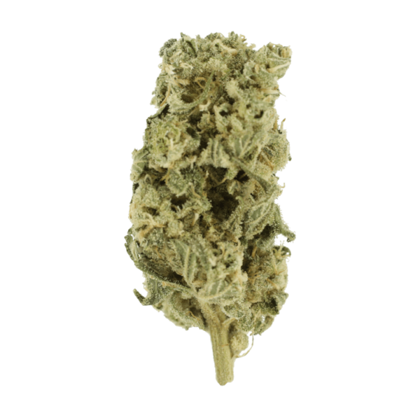 Romulan Hashplant | West Coast Cannabis Canada