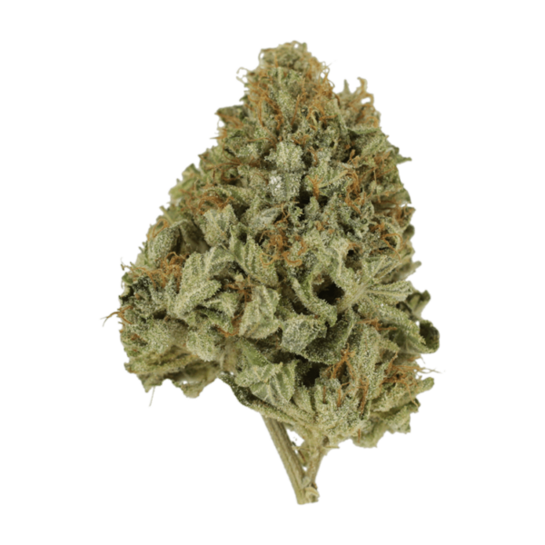 Pineapple Kush | West Coast Cannabis Canada