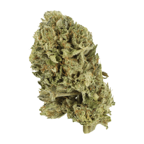 Purple OG Kush – 1 ounce | West Coast Cannabis Canada